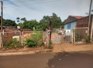 10207215230.jpg · Terreno