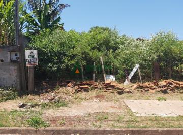 12306415230.jpg · Terreno