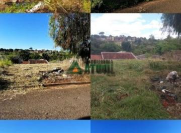 12916015230.jpg · Terreno