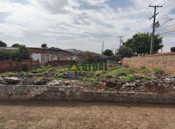 14749515230.jpg · Terreno