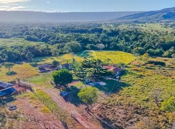 Rural de 3 quartos, Formosa · FAZENDA DE 295 HECTARES - DUPLA APTIDÃO - FORMOSA GO