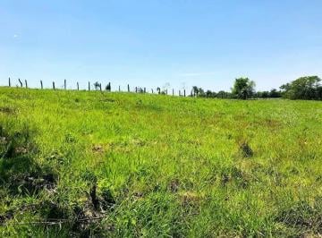Rural , Cesário Lange · Sítio de 3,5 Alqueires em Cesário Lange
