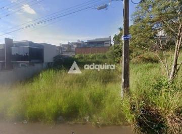 said1750274162617.jpg · Terreno à venda Jardim Alphaville, Estrela, Ponta Grossa, PR
