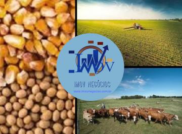 Rural , Confresa · FAZENDA COM 35.000 HÁ. EM CONFRESA-MT