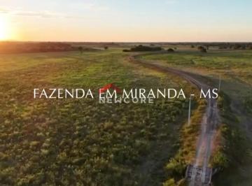 Rural · 300m² · 5 Quartos · Fazenda em  Fazenda Santa Paula - Centro - Miranda/MS