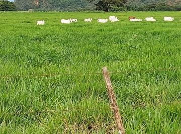 Rural , Araguaiana · fazenda com 18.000 HÁ. EM TOCANTINS