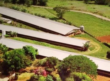Rural de 3 quartos, Laranjal Paulista · Granja á venda na cidade de Laranjal Paulista-SP