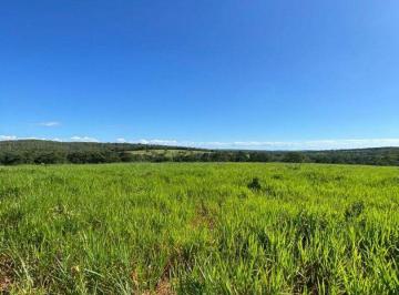 Rural · 1792000m² · Fazenda em Rio Verde MS – 224 Hectares com F...