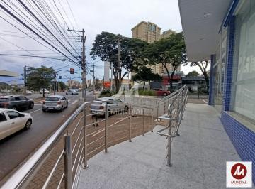 Vista do Imóvel · Salão/Galpão (salão - térreo)