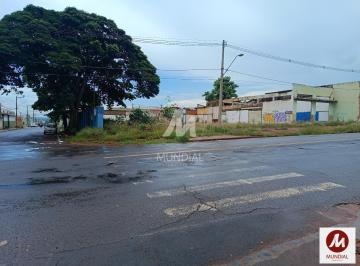 Terreno/Lote · Salão/Galpão (salão - térreo)