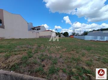 Terreno/Lote · Terreno (terreno normal)
