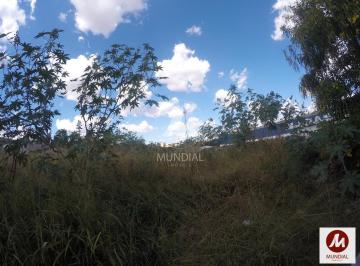 Terreno/Lote · Terreno (terreno normal)