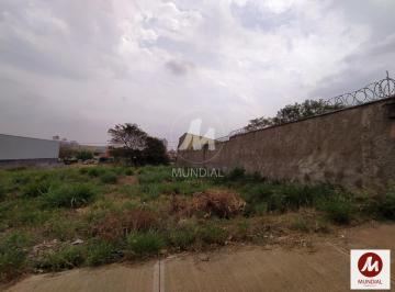 Terreno/Lote · Terreno (terreno normal)