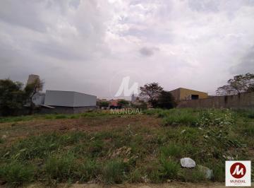 Terreno/Lote · Terreno (terreno normal)