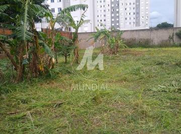 Terreno/Lote · Terreno (terreno normal)