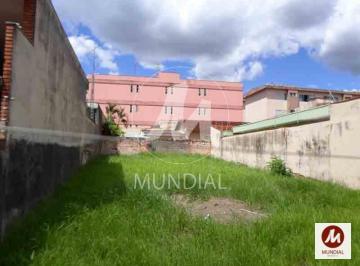 Quintal/corredores · Terreno (terreno normal)