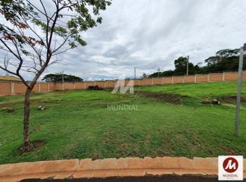 Terreno/Lote · Terreno (terreno em condominio fechado) , portaria 24 horas, salão de festa, em condomínio fechado