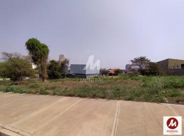 Terreno/Lote · Terreno (terreno normal)