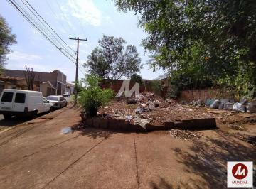Terreno/Lote · Terreno (terreno normal)