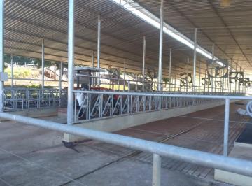 Rural · 1186544m² · 2 Quartos · 2 Vagas · Fazenda de 51 alqueires Angatuba