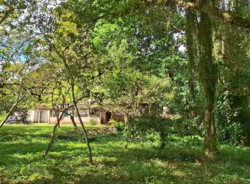 Rural de 3 quartos, Sete Barras · 2 alqueires com 13 mil pés de pupunha com rio dentro da propriedade!!!