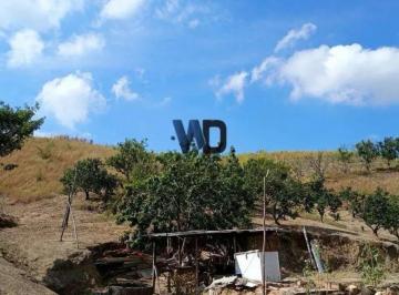 Terreno · 250000m² · Área para plantio com 250.000m²