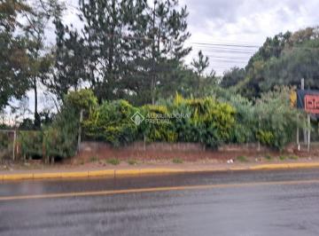 719084_i63m95Z6z6n8_71908468505d919671a.jpg · Área no centro de NOva Santa Rita