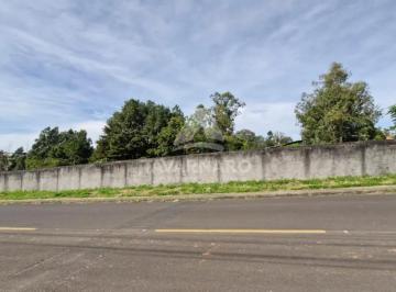 Terreno · 4080m² · Terreno Padrão em Ponta Grossa