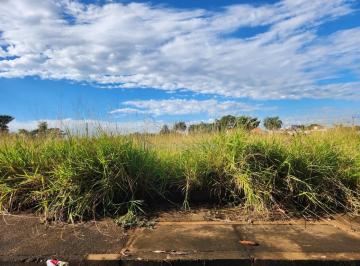 Terreno · 250m² · Anúncio de Terreno em Ótima Localização no Parque Vila Nobre