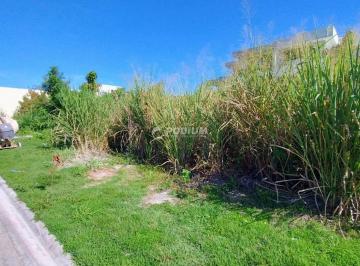 227555.jpg · Imoveis - no Recreio dos Bandeirantes