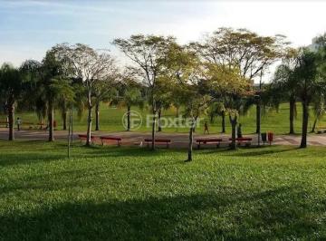 WhatsApp Image 2025-09-18 at 16.19.53.jpeg · Terreno, 264 m², em Vila Ipiranga