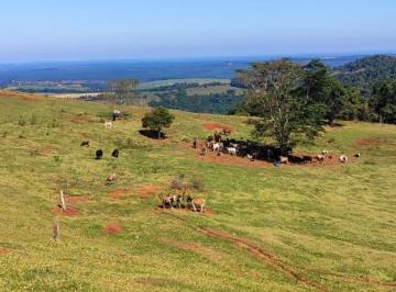Foto 13 · Sítio/Fazenda à Venda, 119,5 alqueires por R$ 30.000.000 Cód. ch2310