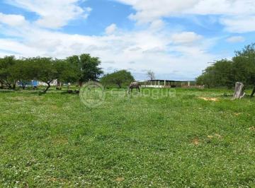Rural · 200m² · Fazenda a venda em Jandaira – 300 hectares com alto potencial produtivo