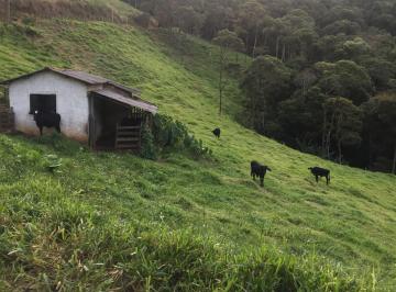 Rural , Bom Jardim de Minas · Sítio 44 Hectares