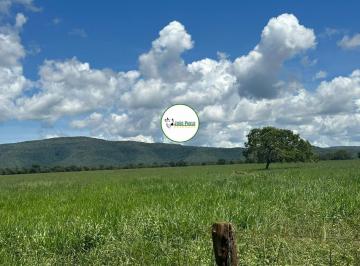 Rural , Buritis · Fazenda a venda em Buritis - MG - 453 HA - TODA FORMADA EM PASTAGEM