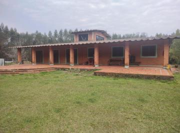 Foto 01 · *FAZENDA COM EUCALIPTO A VENDA NA REGIÃO DE BOTUCATU - SP* ??   Área Total: 98,7 Alqueires ou 239 He