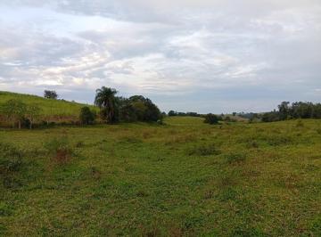 Rural , Porto Feliz · FAZENDA 14.2 ALQUEIRES À VENDA EM PORTO FELIZ/SP