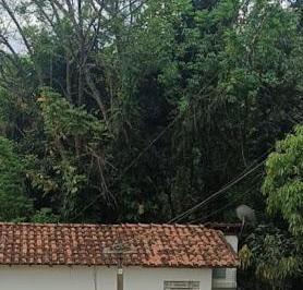 5df4cddaabb5e1f0801418f897c973c378c393c4 · Chácara com 2 dormitórios à venda, 5000 m² por R$ 790.000,00 - Zona Rural - Patrocínio Paulista/SP