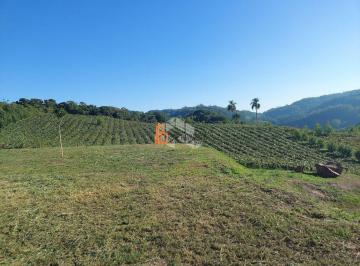 Rural · 6ha · CHÁCARA COM 5,6 ha - VALE DOS VINHEDOS - RS