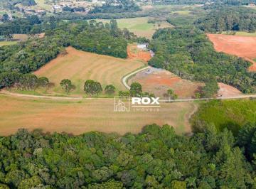 21eaf375c66aee7c02eb81abc7f381c6b8dc33b6 · Terreno Industrial à venda, 154.483 m² por R$ 16.480.000 - Zacarias, São José dos Pinhais/PR
