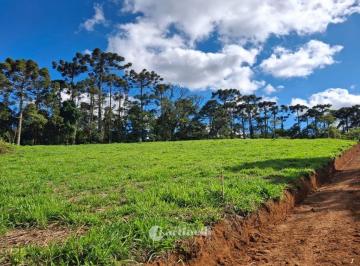 6uuh1xm2odmymzu4ymjkywq4_md · Terreno em Sapucaí Mirim, 20.000 m2 em local tranquilo com vista