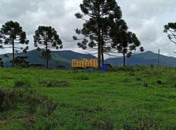 qtj8qvo2ntcznwm0mju3njyw_md · SITIO COM 58 HECTARE, 40. 000 ARAUCÁRIAS, 14 NASCENTES REGIÃO DE URUPEMA