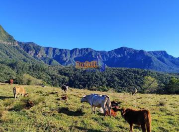 z7mmhri2odqwztqyndg3m2u1_md · Sitio com lindas cachoeiras Anitápolis- SC a venda, nascentes e araucárias