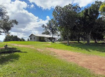 1 - Entrada · Sítio com 5.200m², Duas Casas - A apenas 10 minutos do Centro de Taquara!