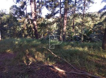 9bb4f34f58a0c3dd3d7a1e980c47f74544c4ca15 · Terreno à venda, 7158 m² por R$ 1.360.000,00 - Taboleiro Verde - Cotia/SP