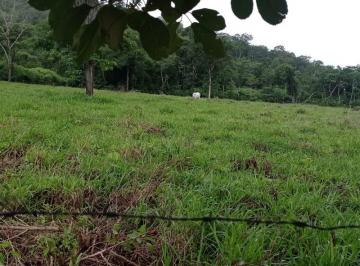 Rural de 3 quartos, Niquelândia · VENDO BELÍSSIMA FAZENDA EM NIQUELANDIA COM 65 ALQUERES R$ 2.500.000 ac imóvel!