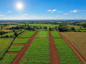 Terreno · 250m² · Terreno à venda no Loteamento Paulista em Foz do Iguaçu.