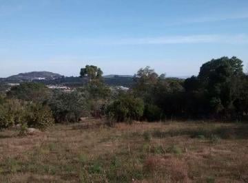 Terreno · 5000m² · Ampla área de 5.000 m² para locação na Vila Nova, com vista para o Guaíba!