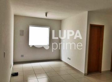 Apartamento · 40m² · 1 Quarto · APARTAMENTO COM 1 QUARTO PARA LOCAÇÃO NA PARADA INGLESA