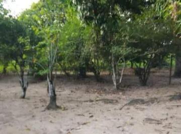 Rural · 6800ha · 2 Quartos · 3 Vagas · Sítio com 6.800m² em Morro Grande – Araruama/RJ, com casa e árvores frutíferas